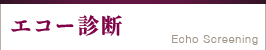エコー診断