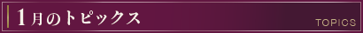 今月のトピックス